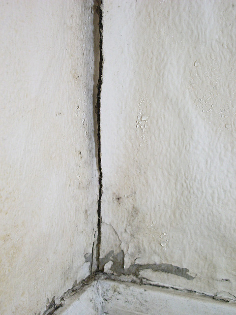 Comment lutter contre les moisissures sur les murs de votre maison ?